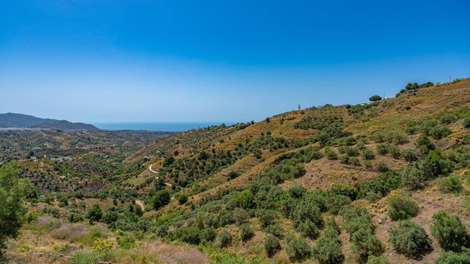 Cortijo El Mirador Frigiliana By Ruralidays Exterior foto